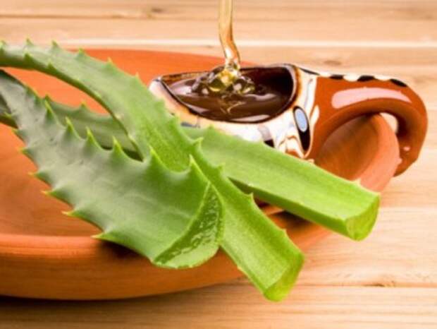 от кашля алоэ