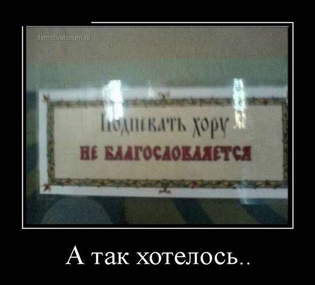 Подборка демотиваторов  демотиватор, юмор