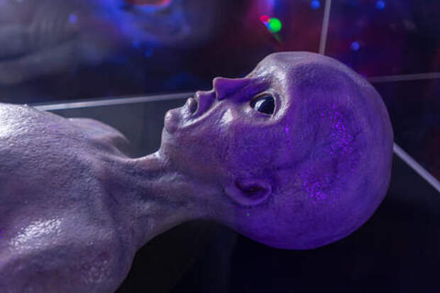 Контакт неизбежен: инопланетяне покажут себя всему миру во время чемпионата мира по футболу