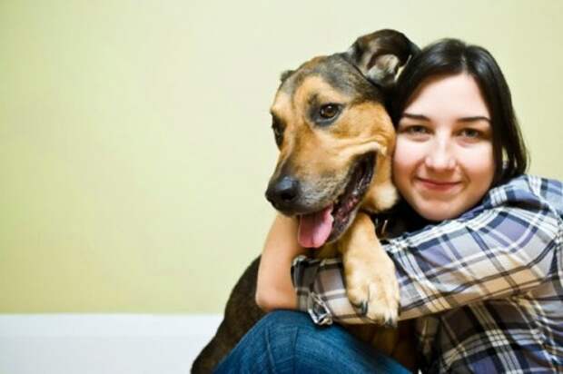 8 Imperatives to Prepare for a Pet Sitter