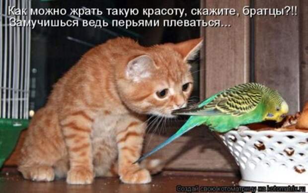 42ec59286c6c37131158f0ed968_prev