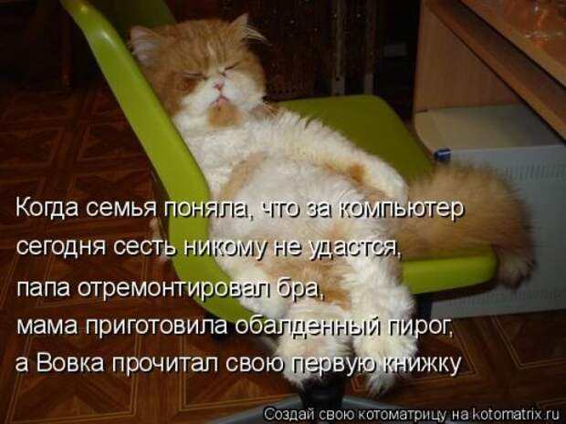 Новая котоматрица для хорошего настроения (28 фото)