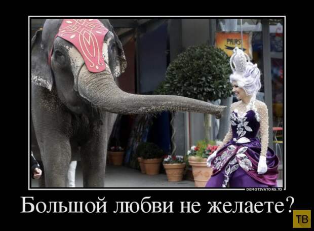 Подборка демотиваторов 23. 01. 2015 (30 фото)