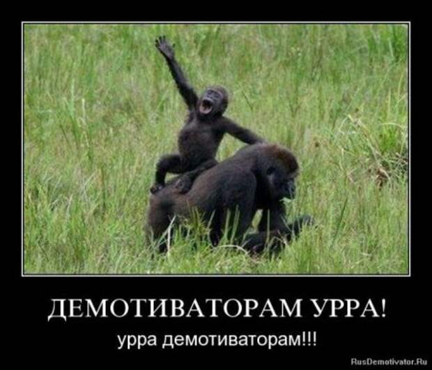Картинки прикольные демотиваторы.