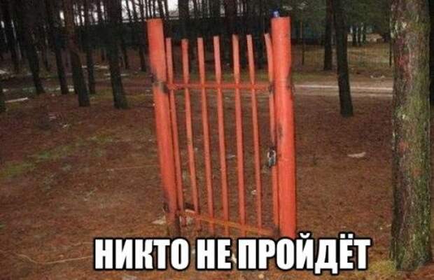 Прикольные фотомемы для хорошего настроения (28 фото)