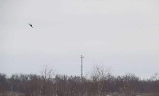 Мусорный "мордор" против военного аэродрома в Борисоглебске