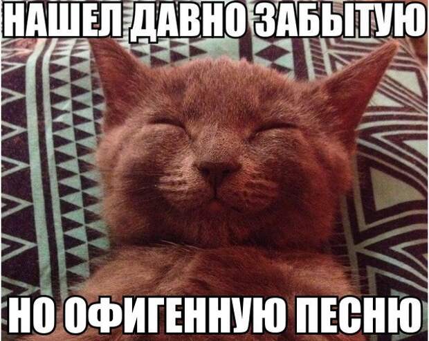 Смешные картинки с подписями катинки, прикол, юмор