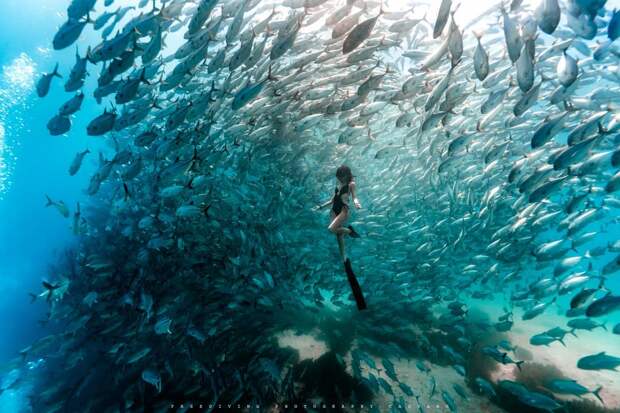 monofin instructor,scuba diving master - Missy Chen.