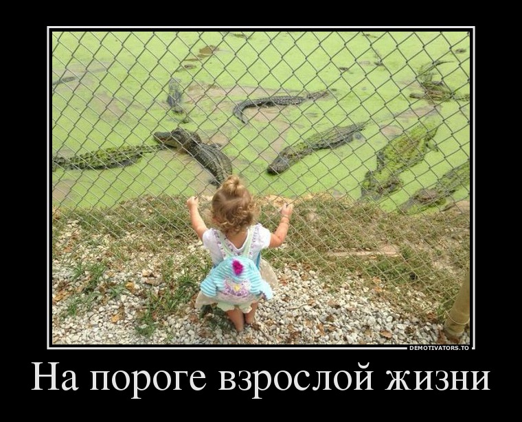 Демотиваторы демотиваторы