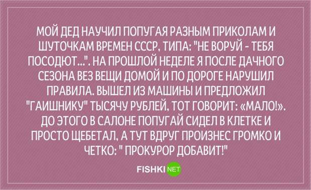 20 анекдотов о сотрудниках ГИБДД Анекдоты, гаи, гибдд