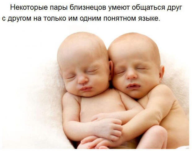 Милые факты (26 фото) Милые факты (26 фото)
