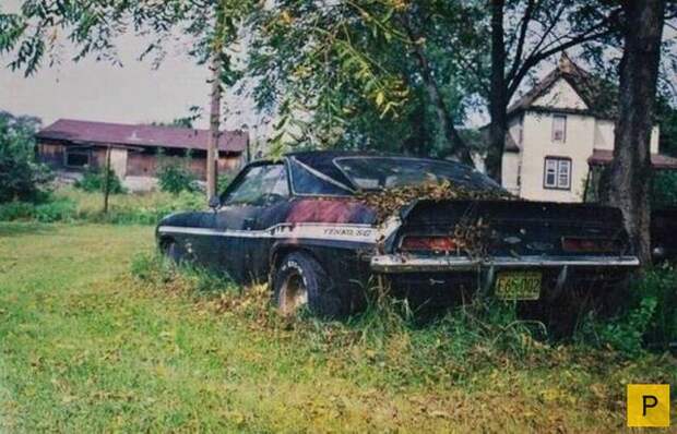 Подборка прикольных фотографий, часть 56 (75 фото)