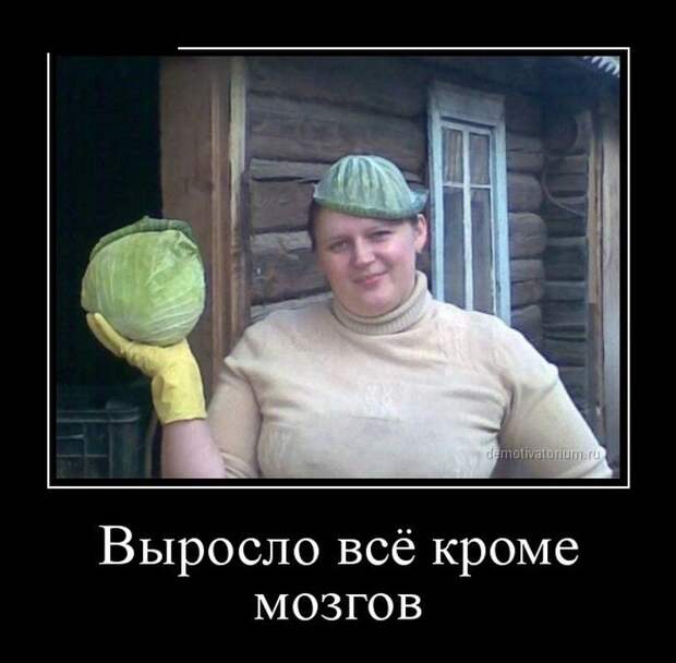 Демотиваторы