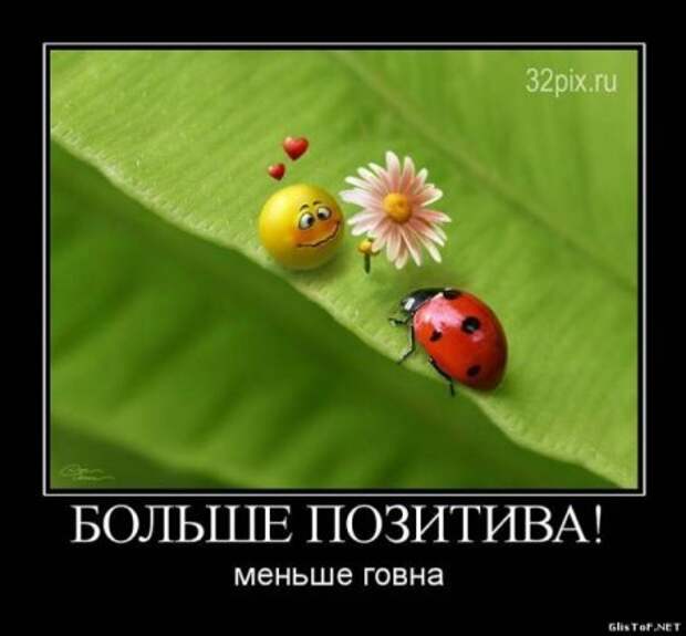 Смешные фразы в демотиваторах высший класс.