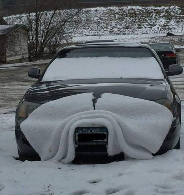 Прикольные картинки. Дневной выпуск (59 фото)