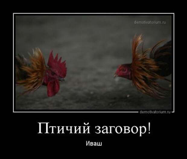 ksjucha11    &    4ervovaЯ. На брудершафт.