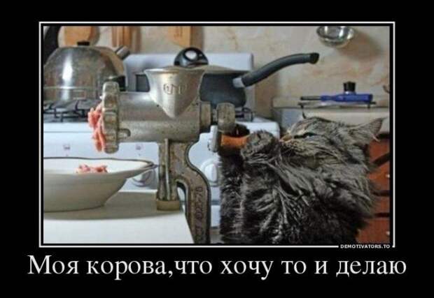 Новый выпуск 534: Классные и улётные демотиваторы (26 фото) Новый выпуск 534: Классные и улётные демотиваторы (26 фото)