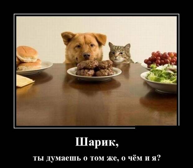 Демотиваторы демотиваторы, юмор