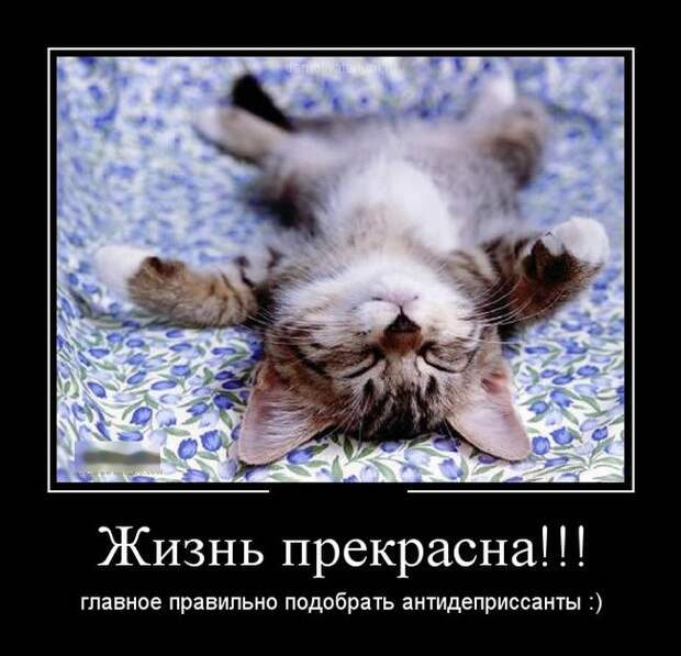 Демотиваторы (30 фото) Демотиваторы (30 фото)