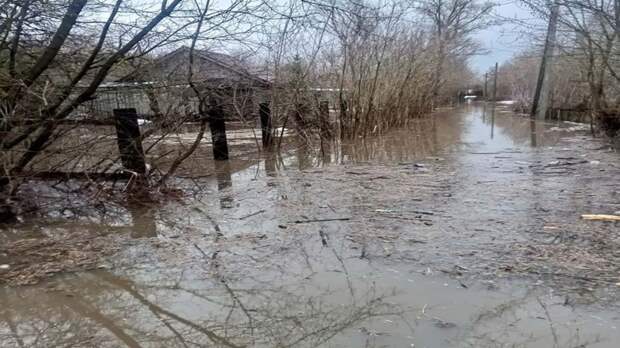 Паводки в Нижегородской области затопили 63 дома и 19 участков автодорог