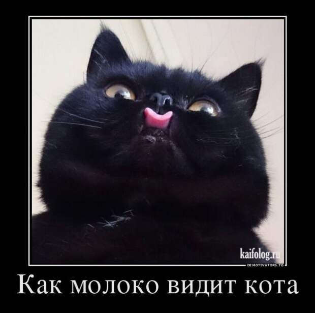 Смешные демотиваторы - 252 (55 демотиваторов)