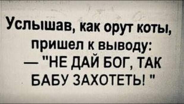 Подборка самых смешных шуток о жизни