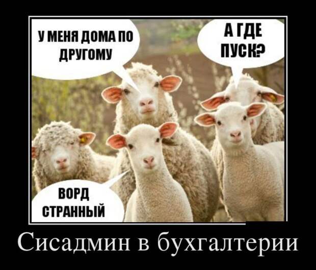 Подборка демотиваторов демотиватор, юмор