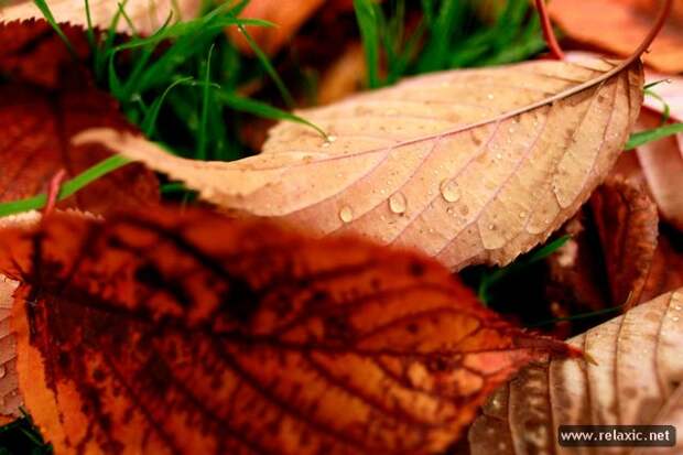 october_015 october_015