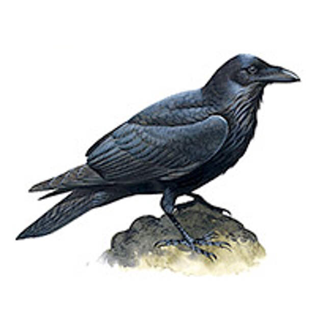 i9
