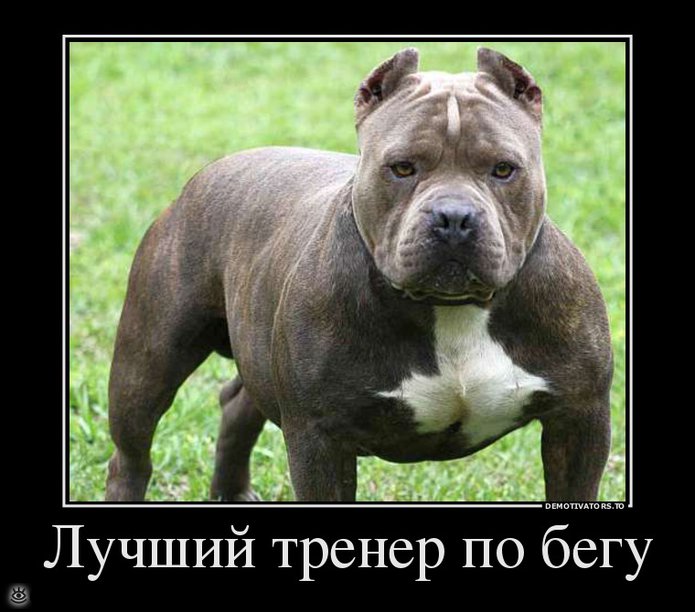 А ты знаешь, что делать со своей жизнью? 2