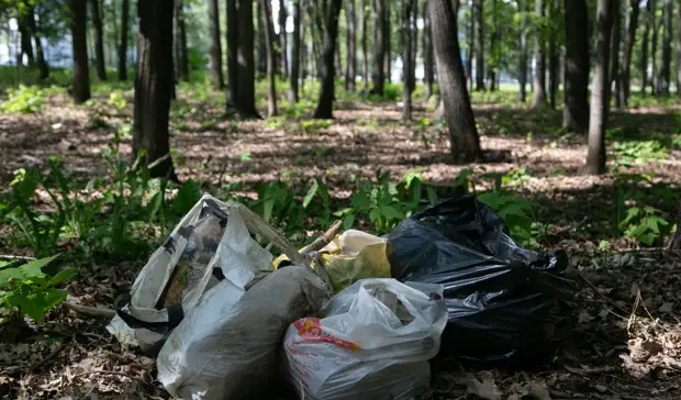 Гладков: в белгородских лесах всё не так хорошо, как докладывают