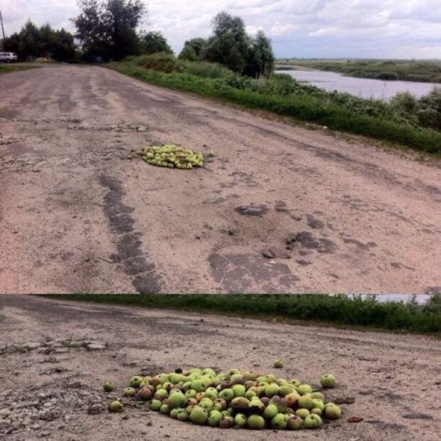 Позитивный день, прикольные фото.