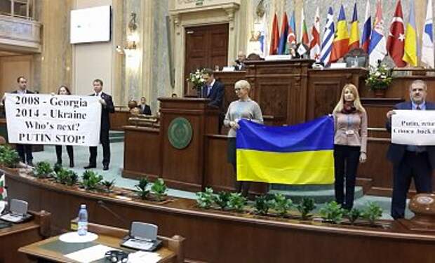 Украинцы встретили протестом выступление Нарышкина в Бухаресте