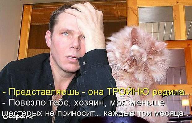 Позитивные котэ (29.05.15)