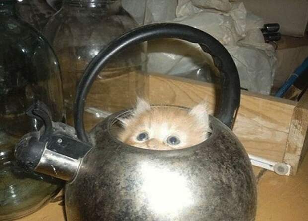 Взгляд из глубины
