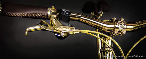 24K Gold extreme mountain bike
