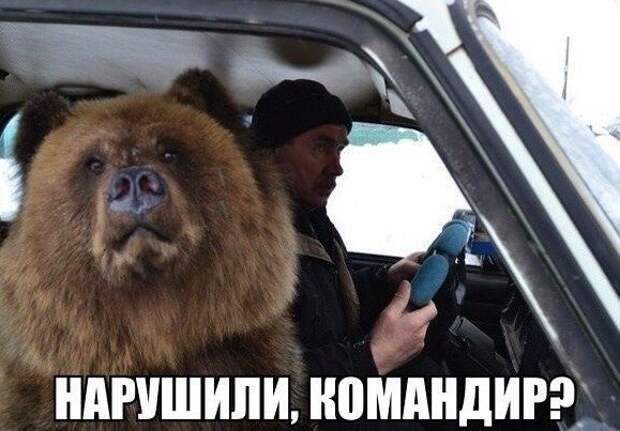 Автоприколы