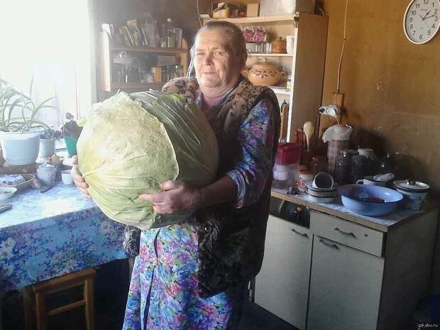 ДЕТКИ НА ДАЧЕ,)) ЮМОР С КАРТИНКАМИ ,))