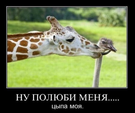 Демотиваторы классный юмор, позитив во всем.