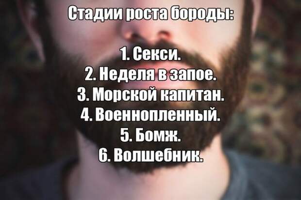 Картинки со смешными подписями картинки, прикол, юмор