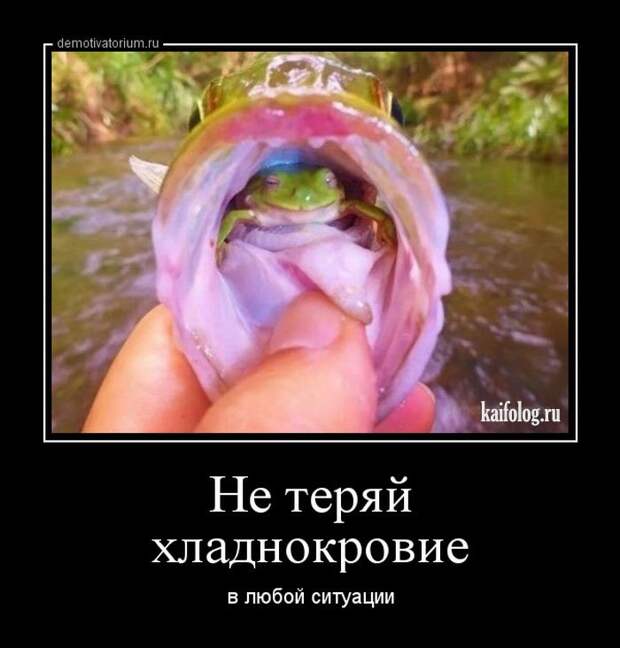 Смешные демы - 264 (50 картинок)