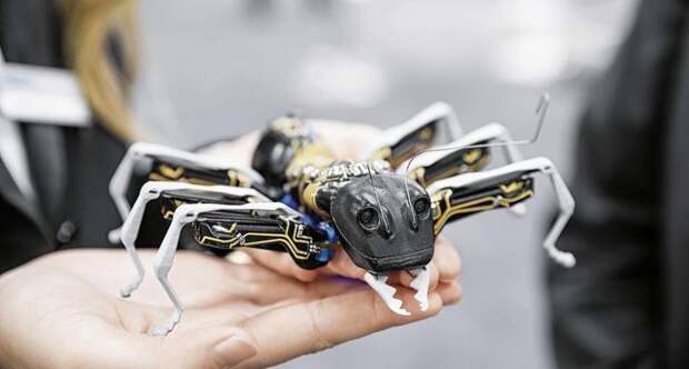 Управляемый мир насекомых: для чего создали роботов-муравьев