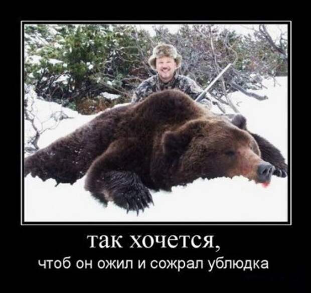 Демотиваторы смысл есть их посмотреть.