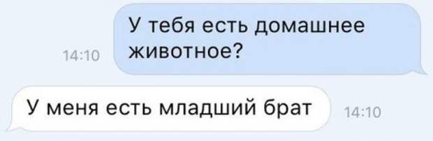 Снова прикольные картинки (51 шт)