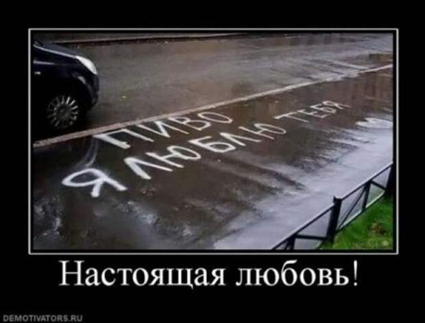 демотиваторы смешные картинки.