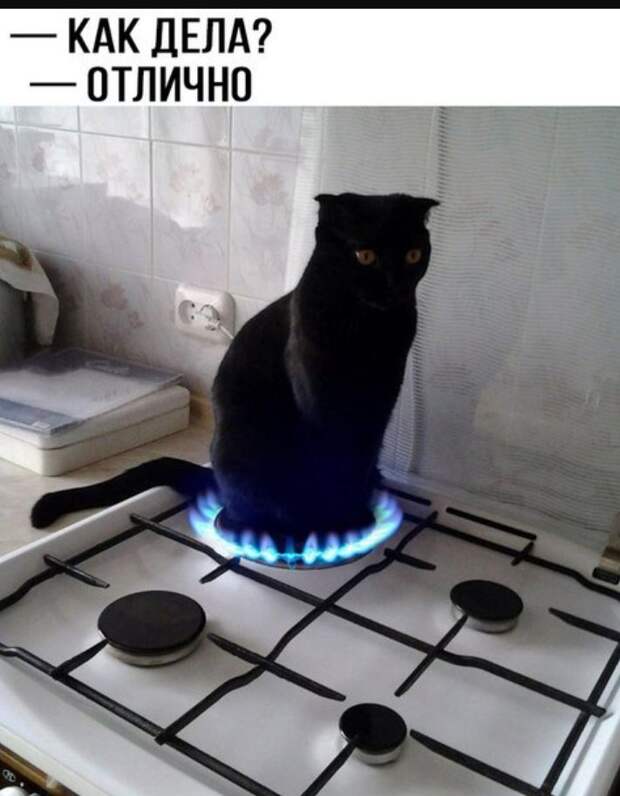 Картинки с юмором (12)