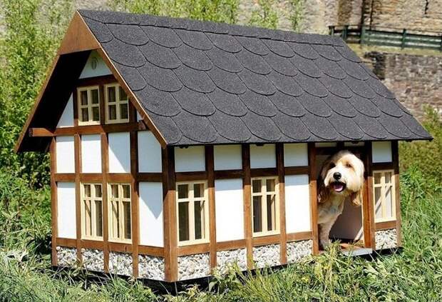 doghouse