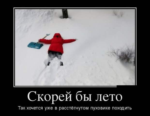 Лучшие демотиваторы дня