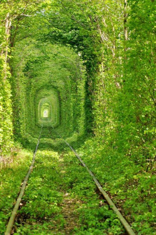 Туннель любви, Украина.