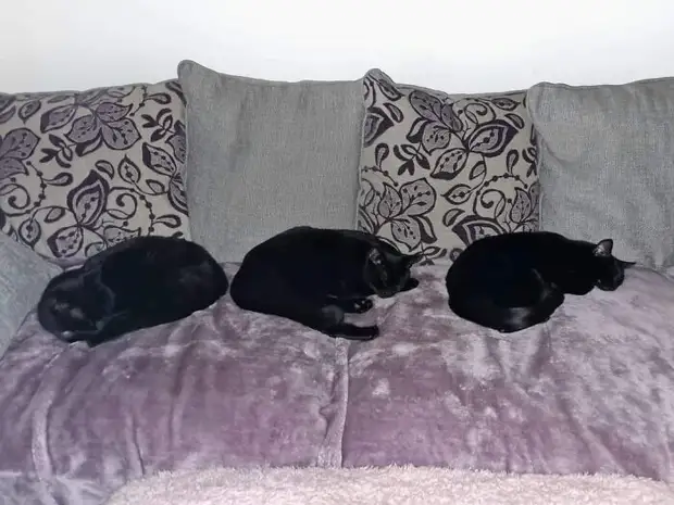 ���� � ������� ��� �������� ���������� � ���� ��������